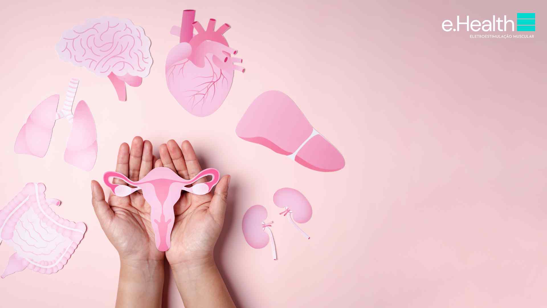 Ciclo menstrual feminino